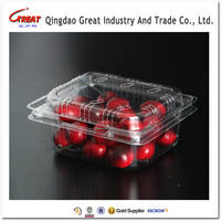 Disposable Plastic Packaging Fruit Food Container PET Material