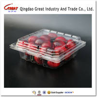 Manufacturer Plastic Disposable Fruit Packing Clamshell
