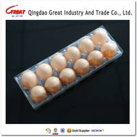 Plastic Clear Egg Tray Egg Carton Egg Container