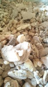 Wholesale Agricultural Product Stock: Gum Benzoin