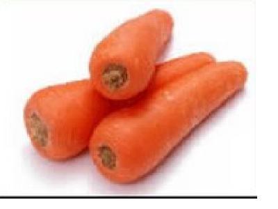 Sell fresh carrots