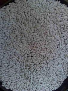 Wholesale beans: White Kidney Beans