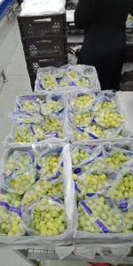 Wholesale packing box: Fresh Grapes