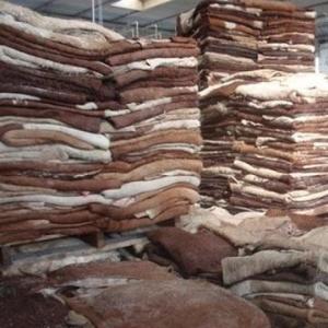 Wholesale Leather Product: Dried Cow Skins Available in Kenya
