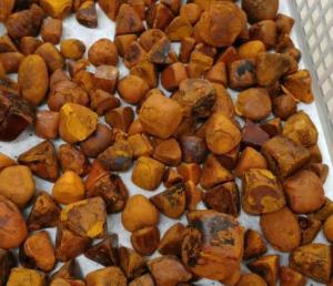 Wholesale cow ox gallstone: New Arrival Ox Gallstones,Cow Gallstones,Cattle Gallstones Bezoar Bolus Gallstones