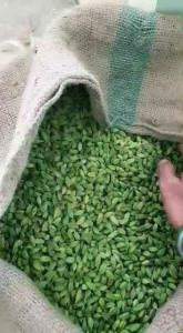 Wholesale cif: Green Cardamom for Sale