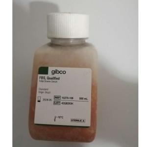 Wholesale sterile: GIBCO Fetal Bovine Serum(10270-106) Orign of KENYA  for Sale