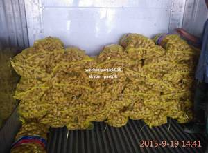Wholesale mesh bags: Fresh Ginger with Mesh Bag Packing
