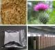 Sell Milk Thistle Extract
