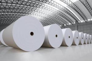Wholesale roll paper: Paper Jumbo Rolls
