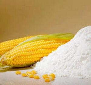 starch corn ec21