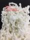 Sell Polyester Recycled Fiber