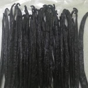 Wholesale Vanilla Beans: Tahitensis Vanilla Beans