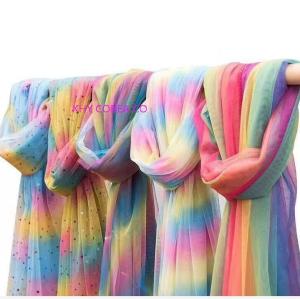 Wholesale mesh: 50 D Rainbow Mesh Fabric