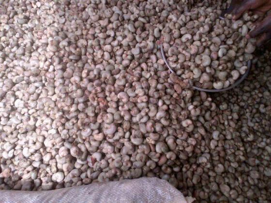 Sell Cashew Nuts Raw From Tanzania
