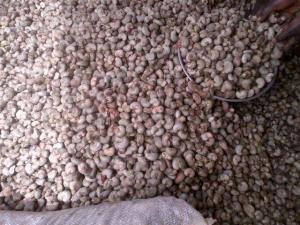 Wholesale cashew nuts: Cashew Nuts  Raw From Tanzania