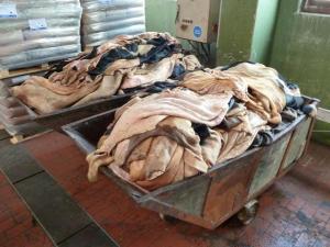 Wholesale mineral: Raw Tanzania Hides and Skins ( Cow Hides, Donkey Hides, Goat Skin