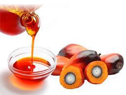 Wholesale canola oil: Sunflower Oil | Canola Oil | Olive Oil /Soybean Oil/Palm Oil