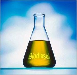 Wholesale vegetable: Biodiesel