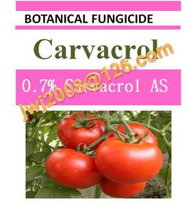 Wholesale oregano: 0.7% Carvacrol AS, Botanical Fungicide