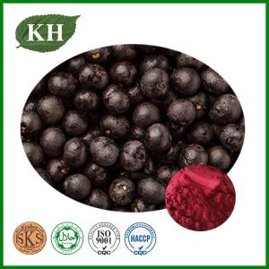 Wholesale acai berry powder: Natural and Organic Acai Berry Extract  Anthocyanidins,
