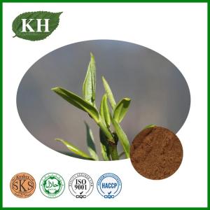 Wholesale acai berry powder: Black Tea Extract Theaflavins 40% 60% by HPLC, Polyphenols 25% 40% by UV