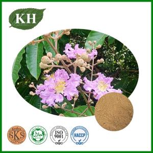 Wholesale acai berry powder: Banaba Leaf Extract Corosolic Acid 1%~98% by HPLC