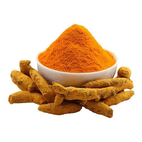 Sell Raw Processed Dried Turmeric Finger