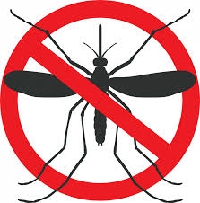 King Mosquito Nets Chennai LLP Company Logo