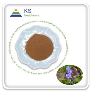 Wholesale Plant Extract: Cyanotis Arachnoidea Extract Powder Ecdysterone