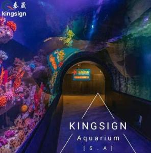 Wholesale glass photo frame: Aquarium Tunnel