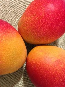 Wholesale Mango: Apple Mangoes