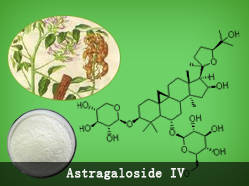 Wholesale astragalosides: KT Astragaloside IV