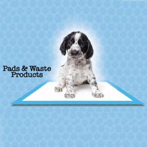 Wholesale pet pad: Anti Fungal PET Pads Washable PET Diaper Pad Xl PET Training Pad 100pcs PET Traning Pad