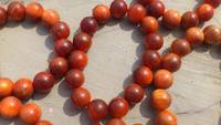 Raja Kayu Agathis Beads 2