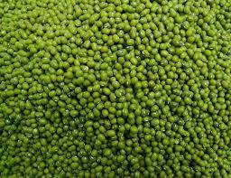Wholesale snack: Green Mung Beans