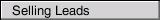 Selling Leads