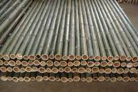 Sell bamboo Fence