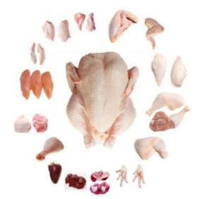 Wholesale nails: Quality Halal Frozen Whole Chicken and Parts