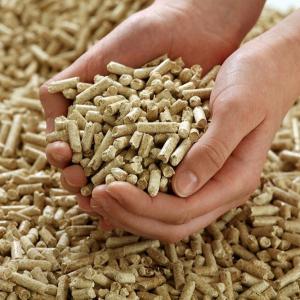Wholesale for rice: Rice Husk Pellet Emerging Crisis Supply for Animal Bedding and Biomass Renewable Energy