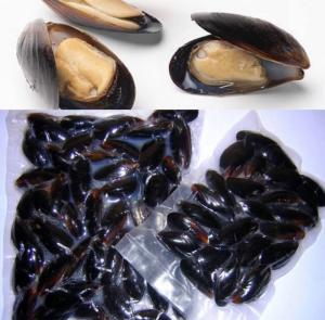 Wholesale Shellfish: Mussel,Frozen Half Shell Mussel