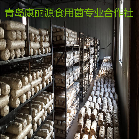 Sell kangliyuan shiitake mushrooms