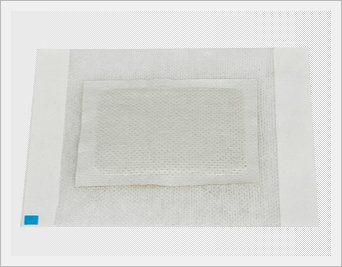 Combination Foot Patch | Sap Patches, Pads, Sheet, Plaster