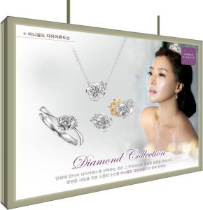 Wholesale Advertising Light Boxes: Double Sided LED Light Box 30mm
