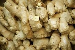 Wholesale quantity: Fresh Green Ginger