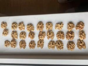 Wholesale in shell walnut: 2021 Crop 185 Walnuts in Shell