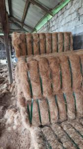 Wholesale coconut fibre: Coconut Fibre