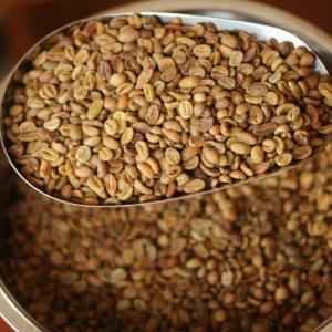 Wholesale Coffee Beans: Green Bean Aceh Gayo Premium Grade
