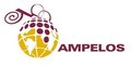 Ampelos Enterprise Co., Ltd. Company Logo