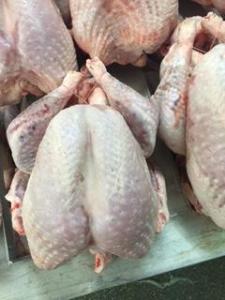 Wholesale turkey: Frozen Oven Ready Whole Turkeys L5 (5.00kg-5.49kg)